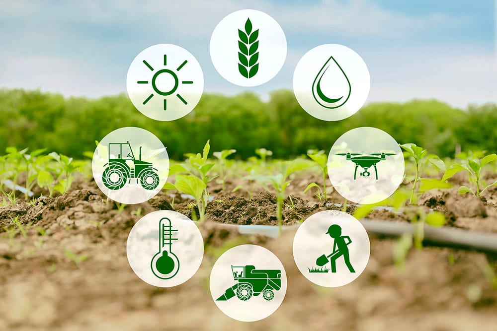 Soil and Water Sensors